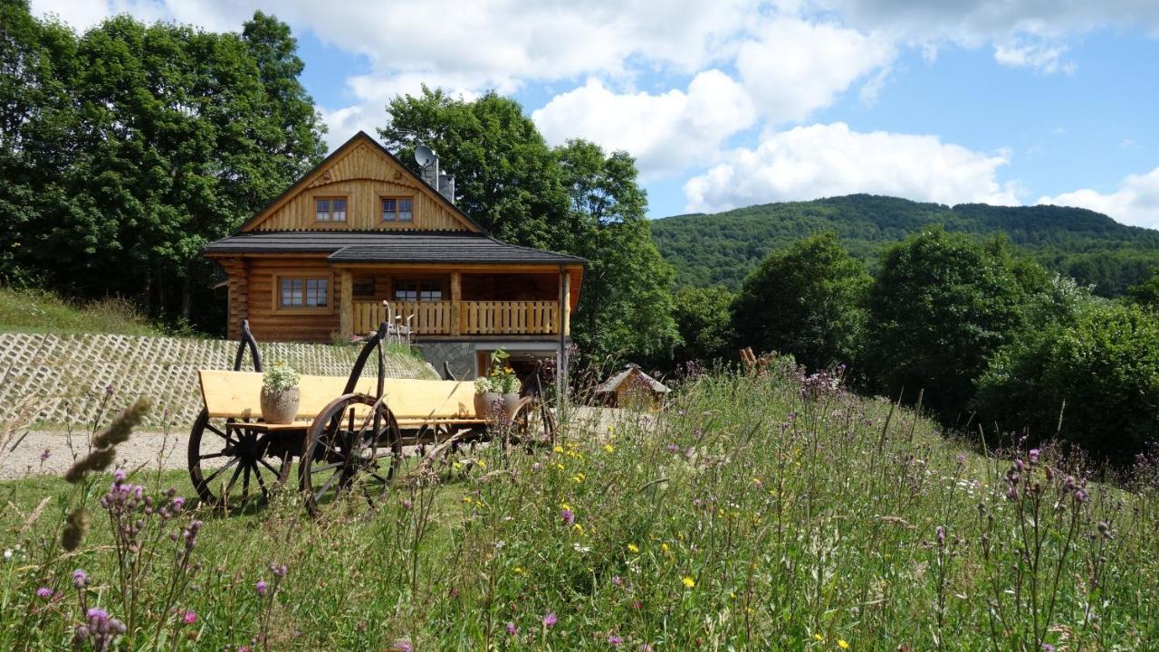 Bieszczadzkie Marzenie Wetlina Hotel Bagian luar foto