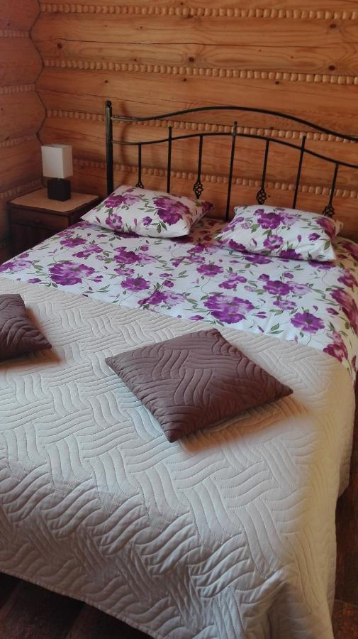 Bieszczadzkie Marzenie Wetlina Hotel Bagian luar foto